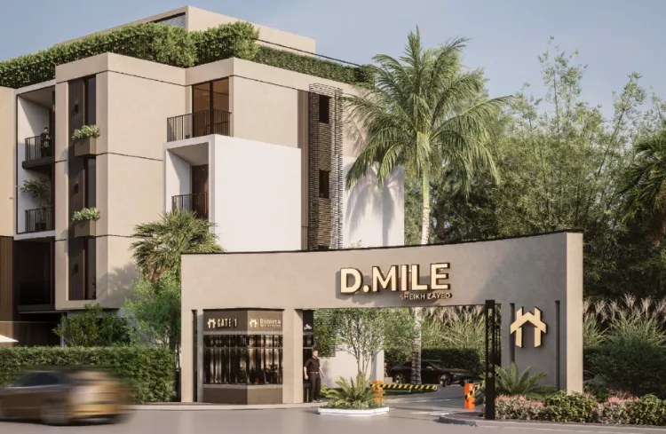 مدخل مشروع D Mile Zayed